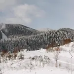Vilson Bukovel