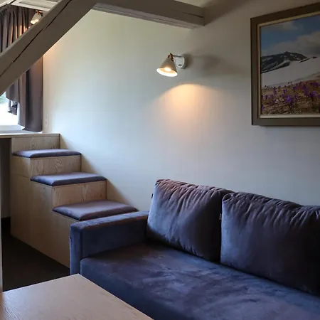 Vilson Hotel Bukowel