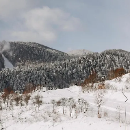 Vilson Bukovel