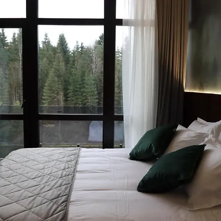 Vilson Hotel Bukovel