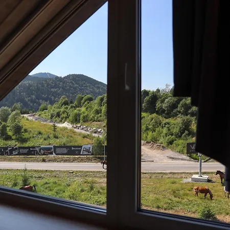 Vilson 3* Bukovel