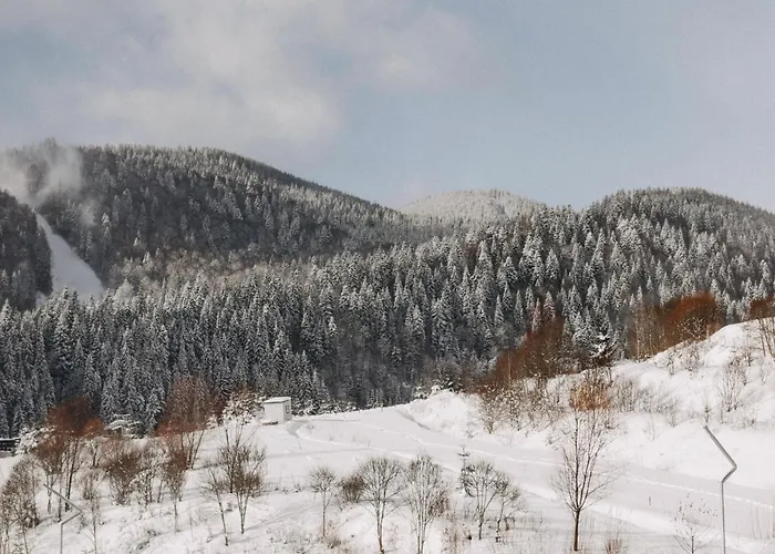 Vilson Bukovel