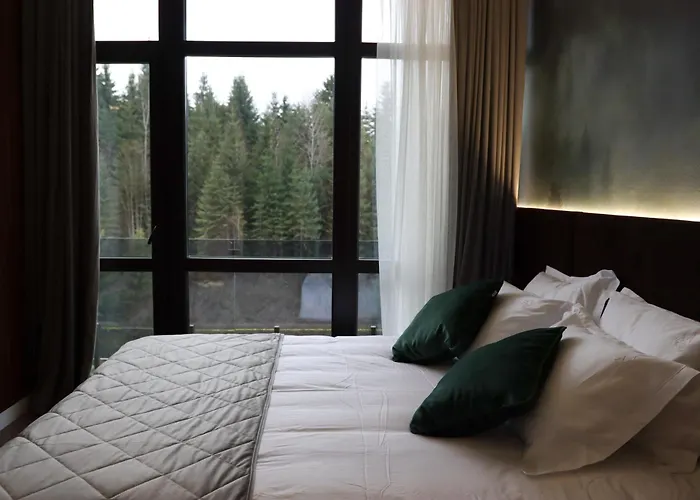 Vilson Hotel Boekovel